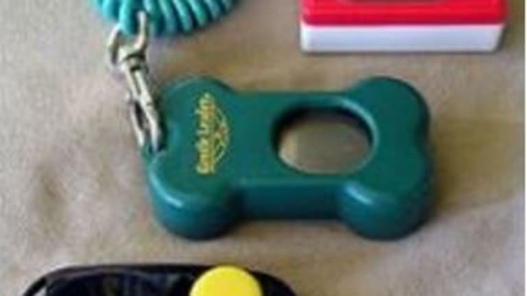 Do You Always Have to Use a Clicker in Dog Training?
