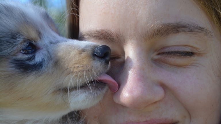 Why Do Dogs Lick Faces With So Much Passion?