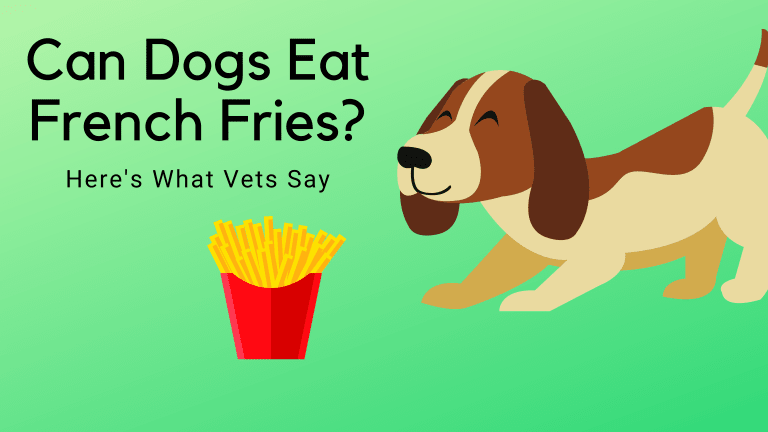 can french fries kill dogs