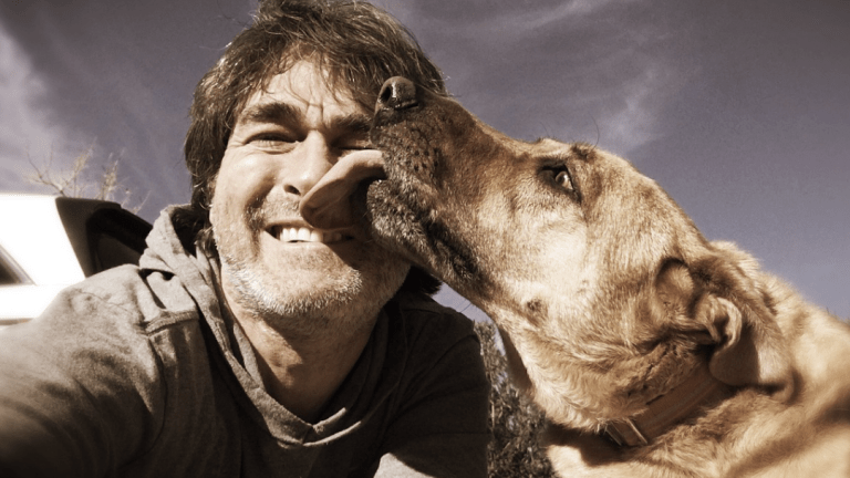 Why Do Dogs Lick Your Ears?
