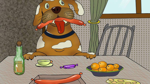 Dogs eat new arrivals garlic powder