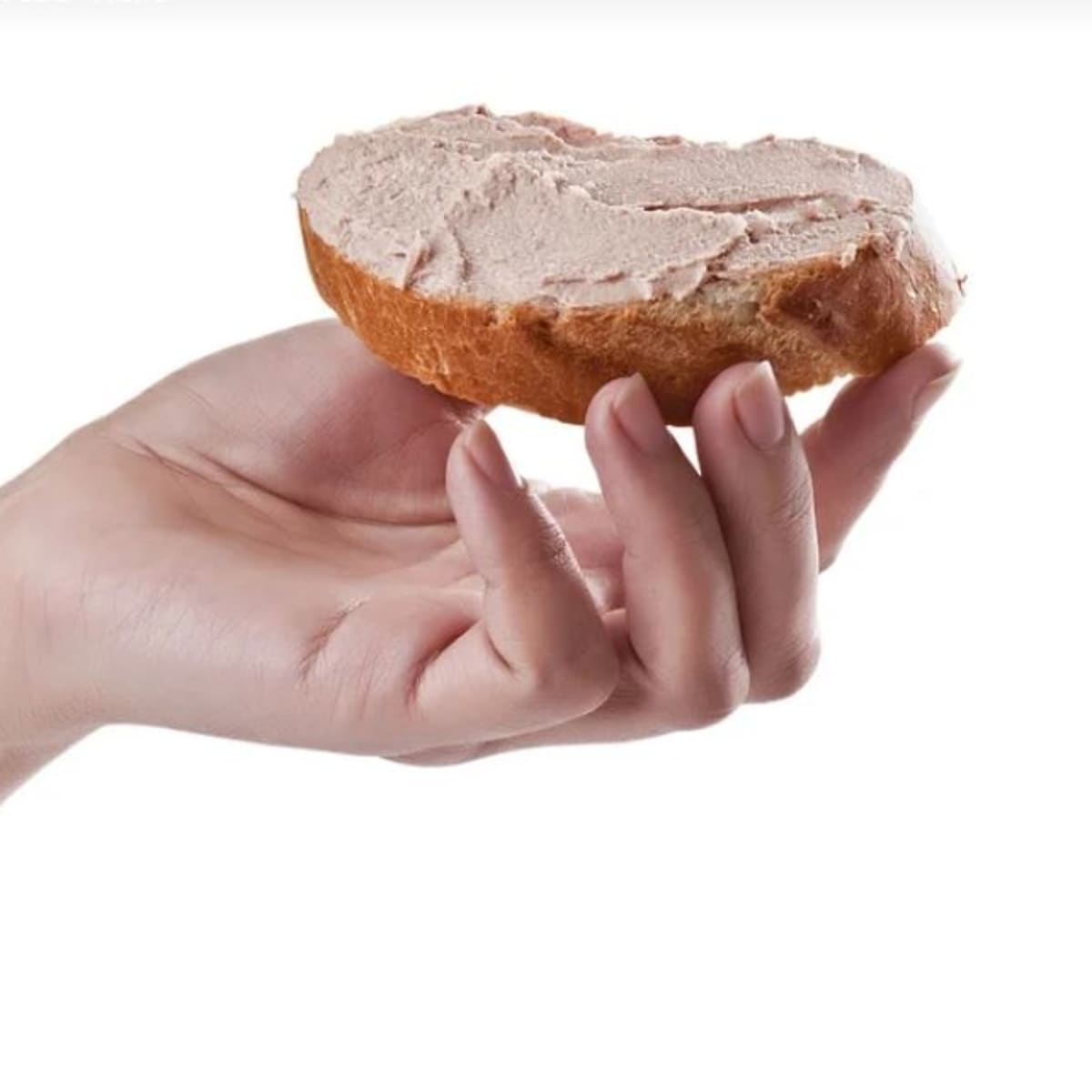 Can Dogs Eat Liverwurst Dog Discoveries
