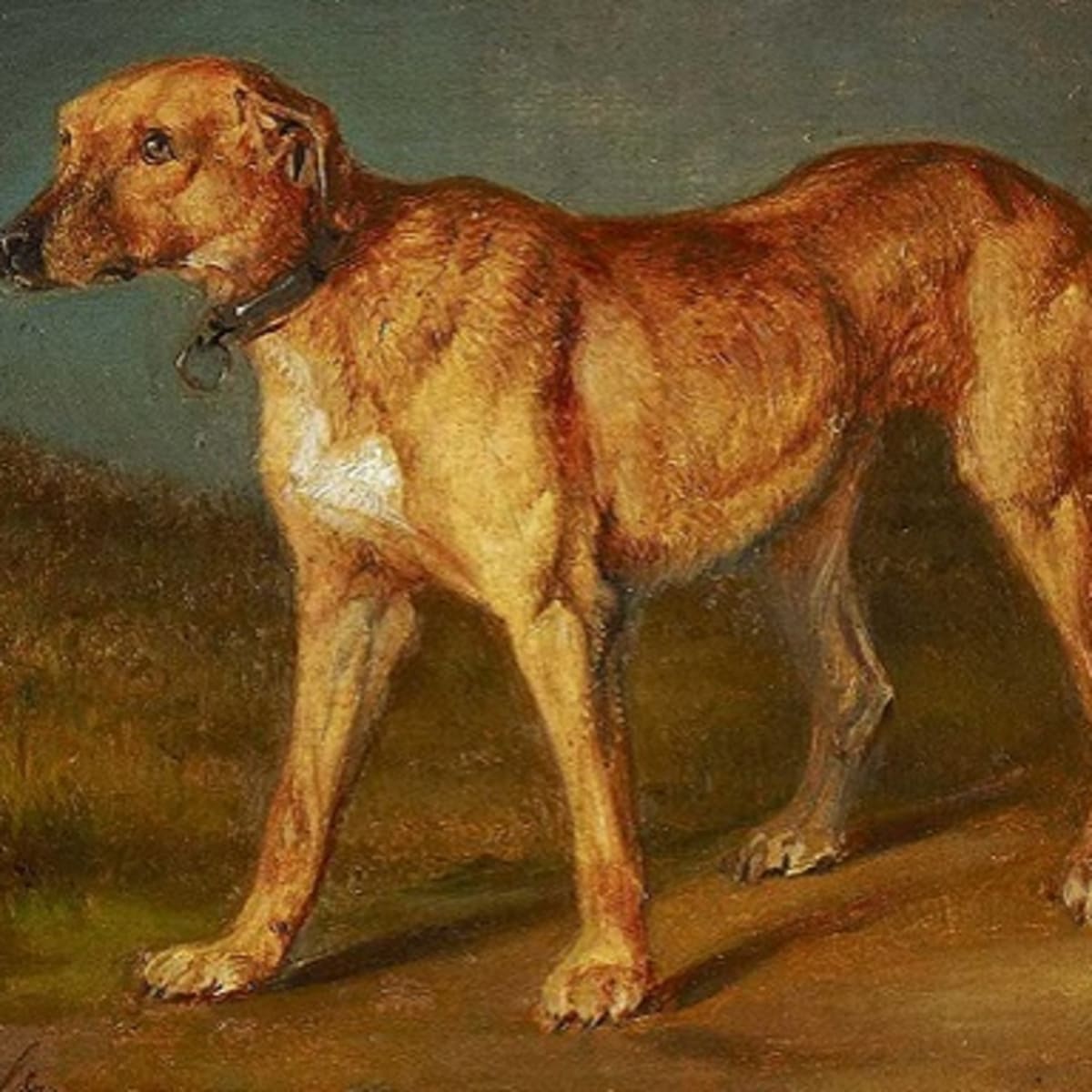 Ridgeback ridge on sale