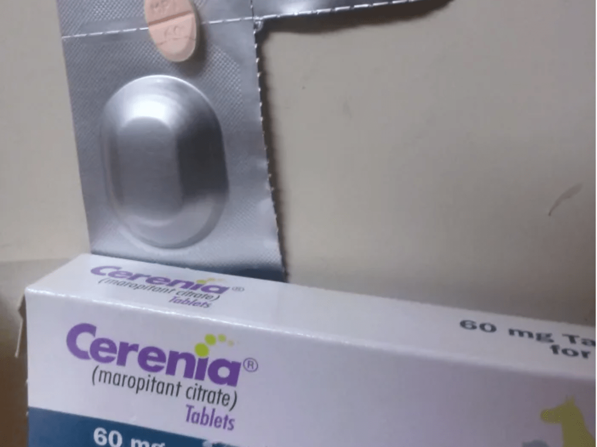 is cerenia safe for dogs