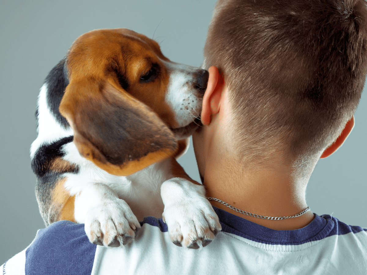 do dogs lick as a sign of affection