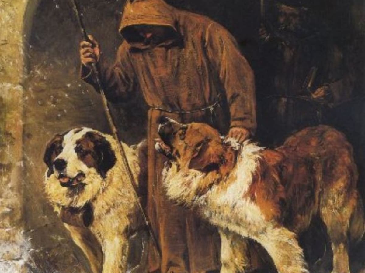 Famous st bernard names cheap