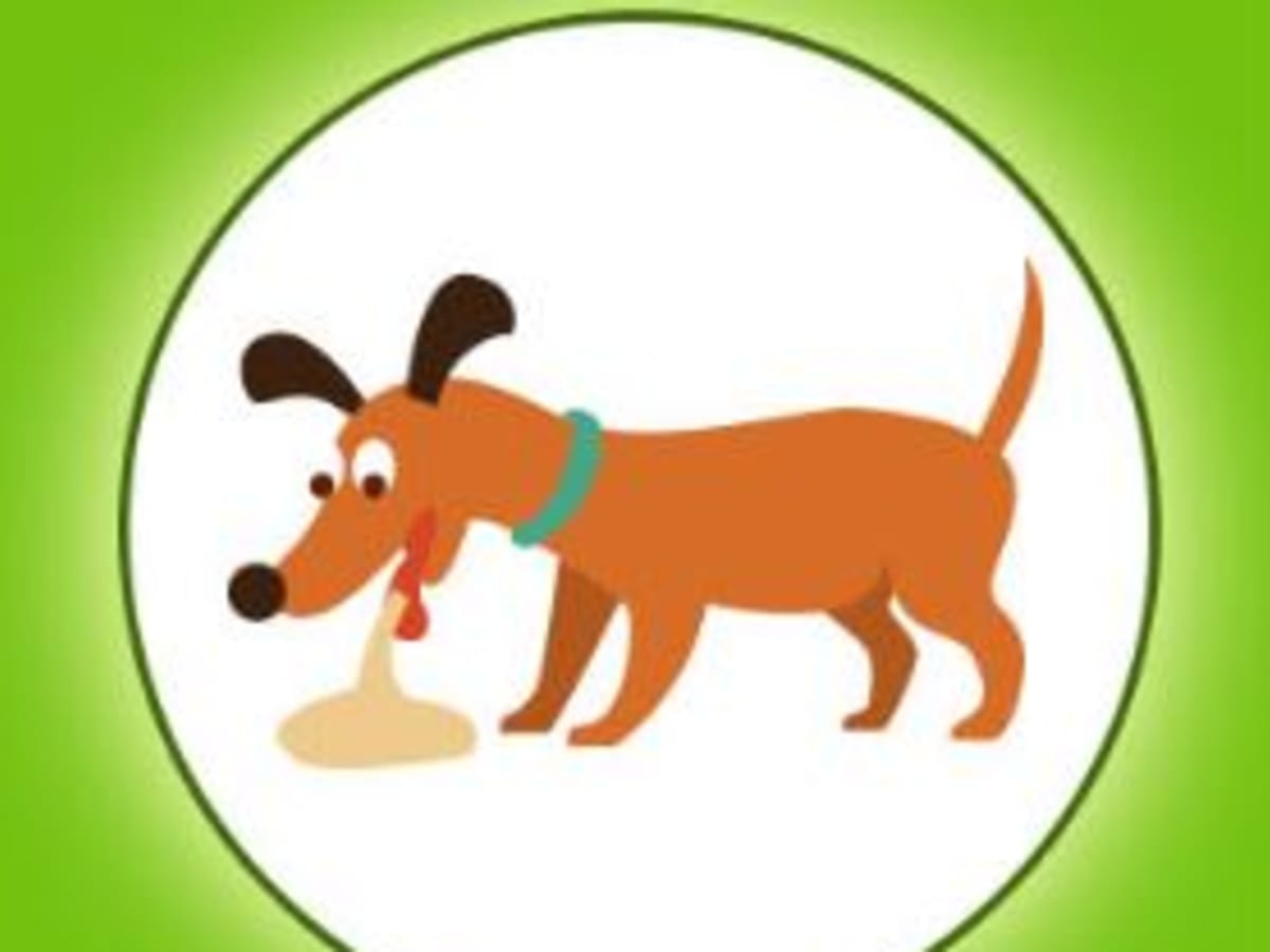 Dog gagging and coughing up best sale white foam