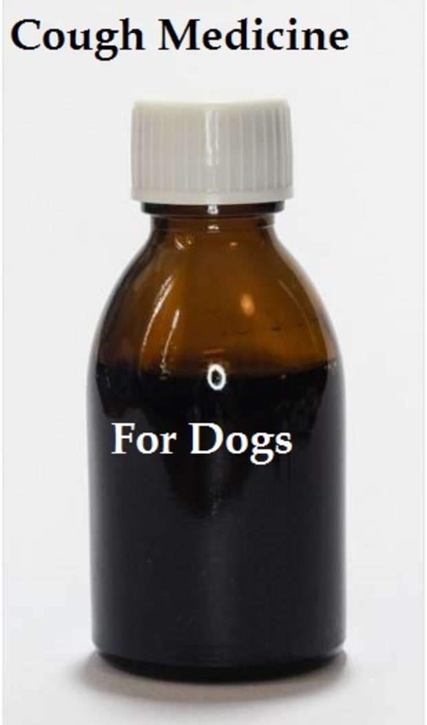 what cough suppressants are safe for dogs