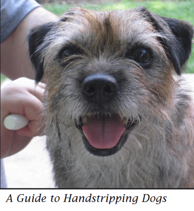 is hand stripping dogs painful