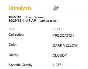 Example of urine specific gravity in dogs test.