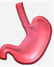 Delayed gastric emptying is the prolonged passage of food from the stomach to the first portion of the small intestines