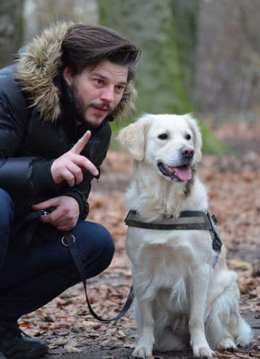 Egage disengage game for dogs
