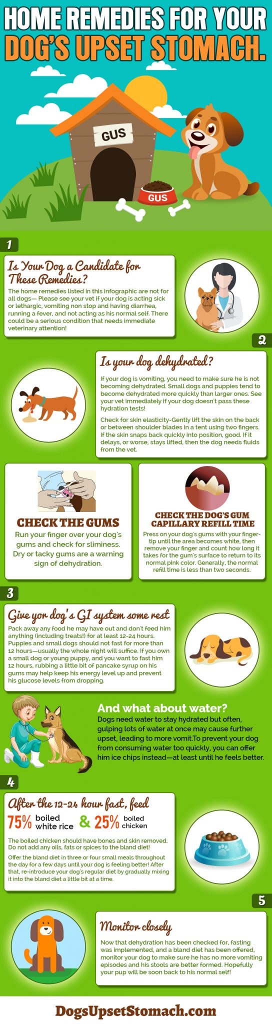 Home Remedies for Dogs Vomiting - Dog Discoveries