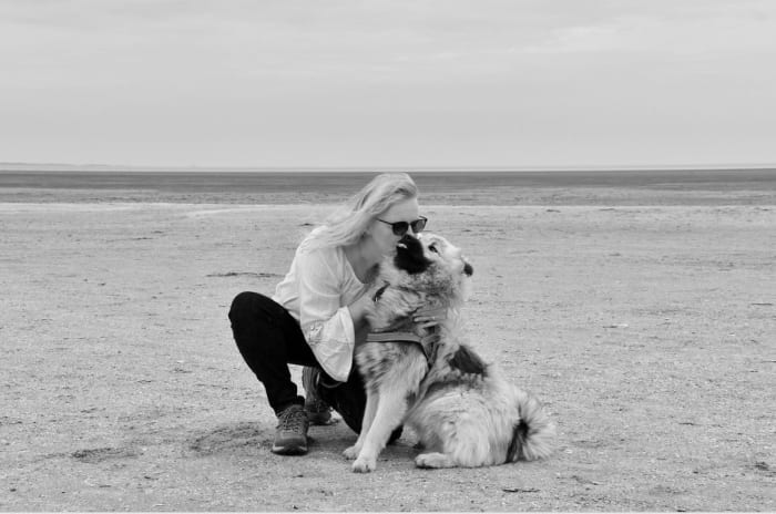 This dog being kissed is leaning away, the ears are back and is nose licking. The overall body looks very tense.