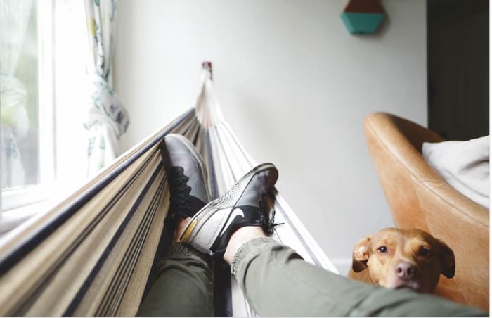 Puppies may be drawn to nip children's feet and toes more as they move quickly and act in a more play-driven way.