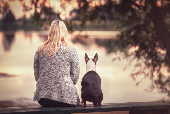While dogs can detect sounds better and farther than humans, there is often some sort of trade off going on.