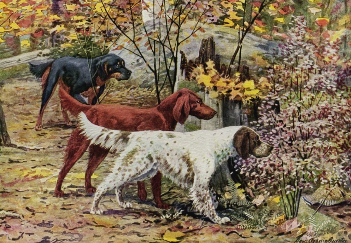 Vintage painting of three dogs, English Setter, Irish Red Setter and the Gordon Setter in autumn