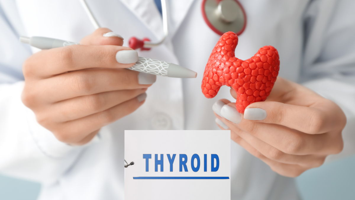 Your dog's thyroid gland plays many important roles. 