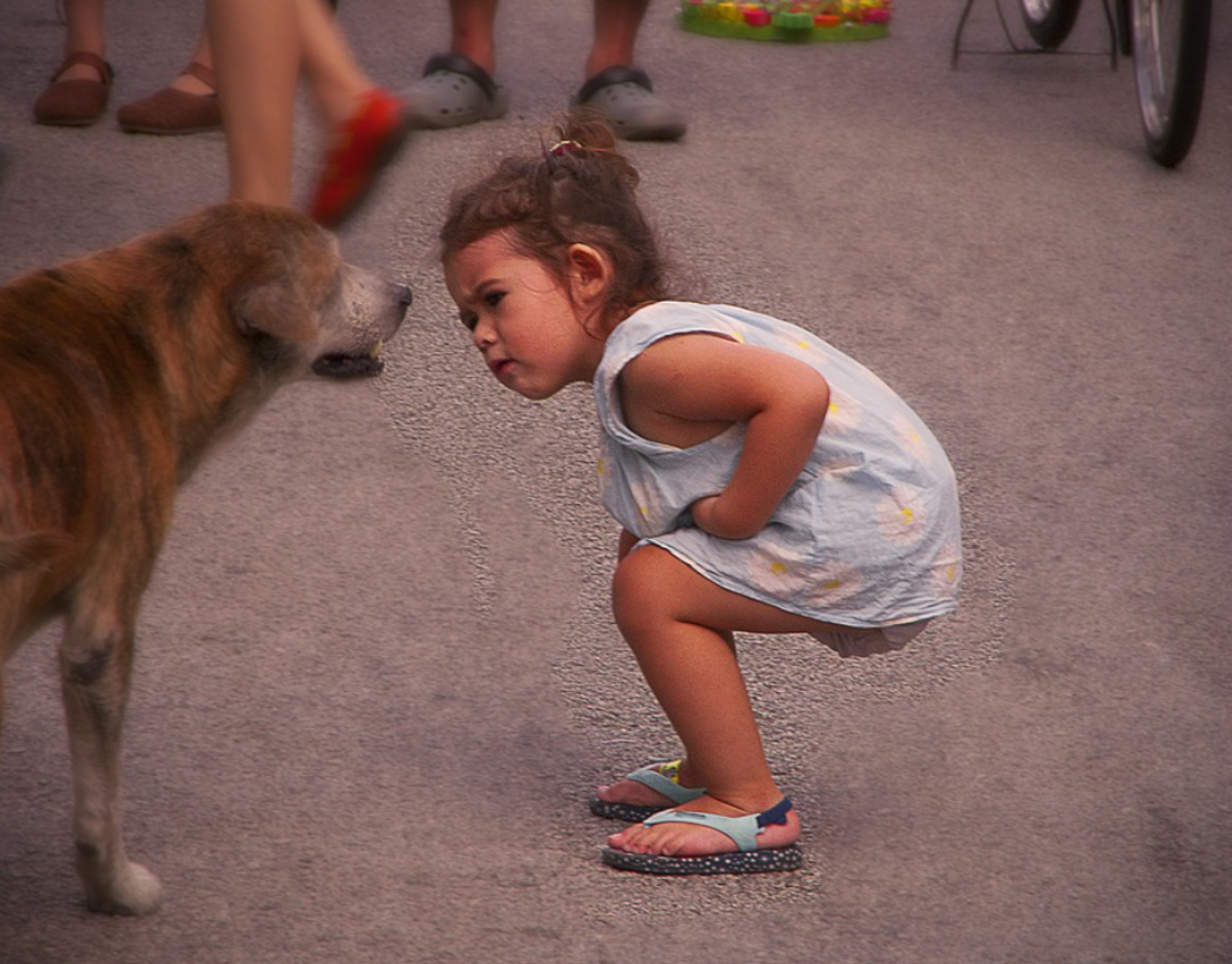 Children being shorter, are often at a dog's eye level and their  direct approach and eye contact can be perceived as challenge. Caution is needed with unknown dogs!