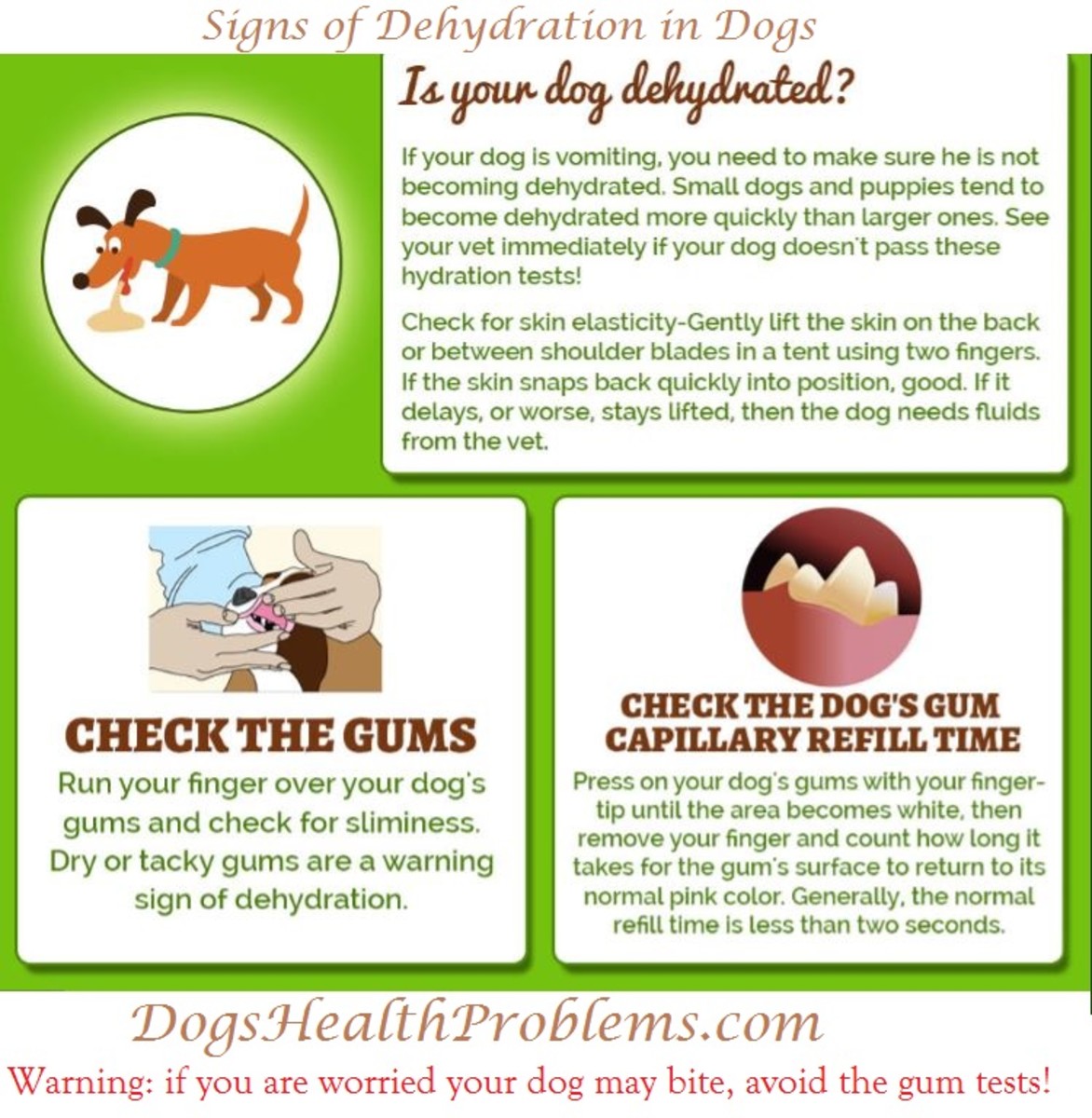 how do you know if your dogs dehydrated