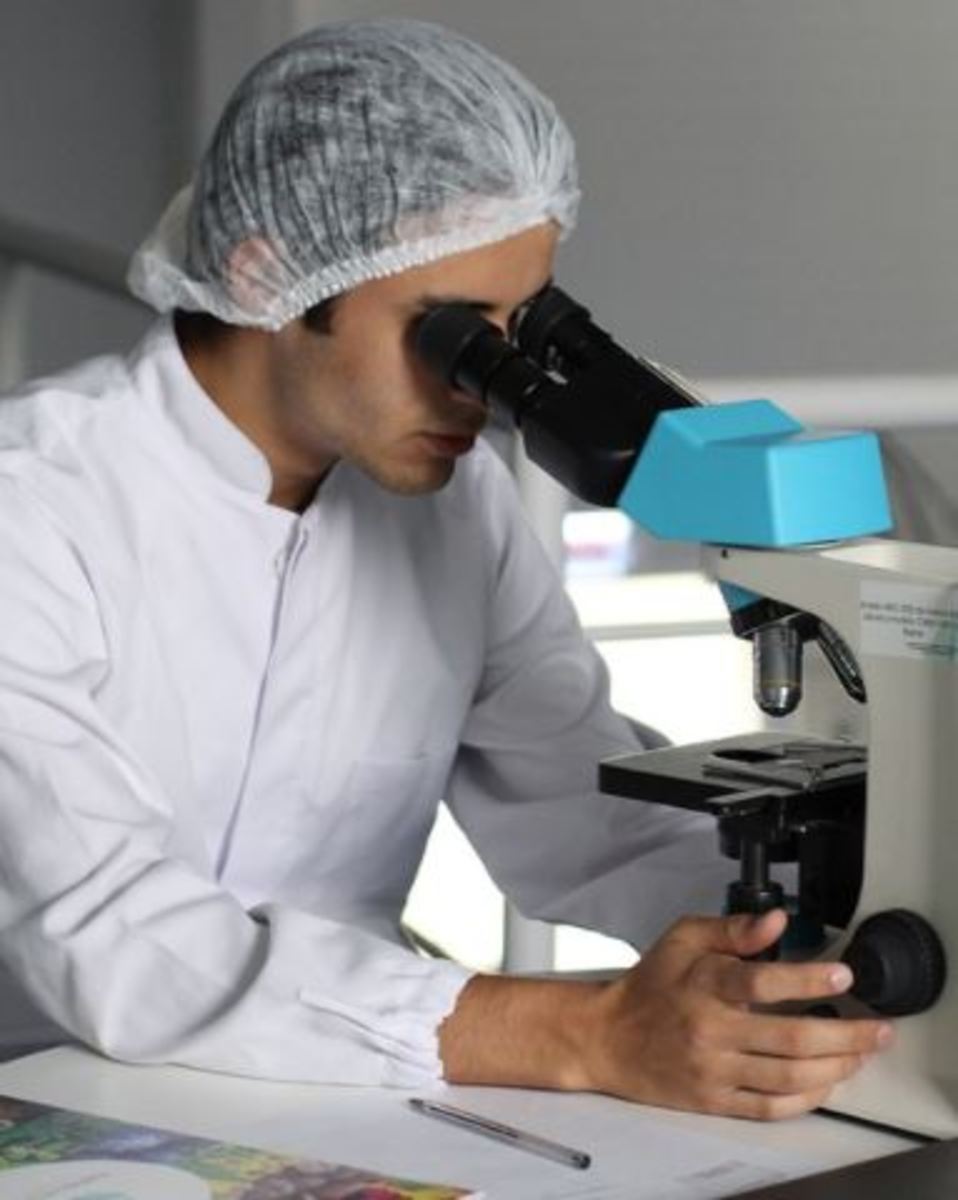 The tissue sample taken from the liver is checked under a microscope.