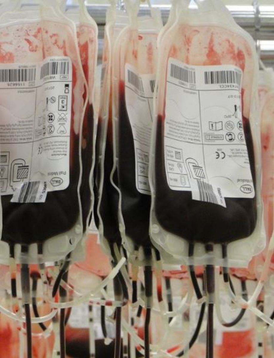 how much does it cost for a dog blood transfusion