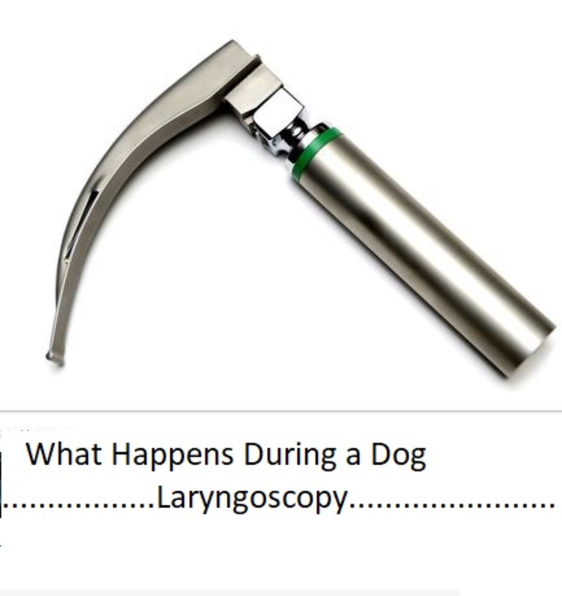  Picture of laryngoscope