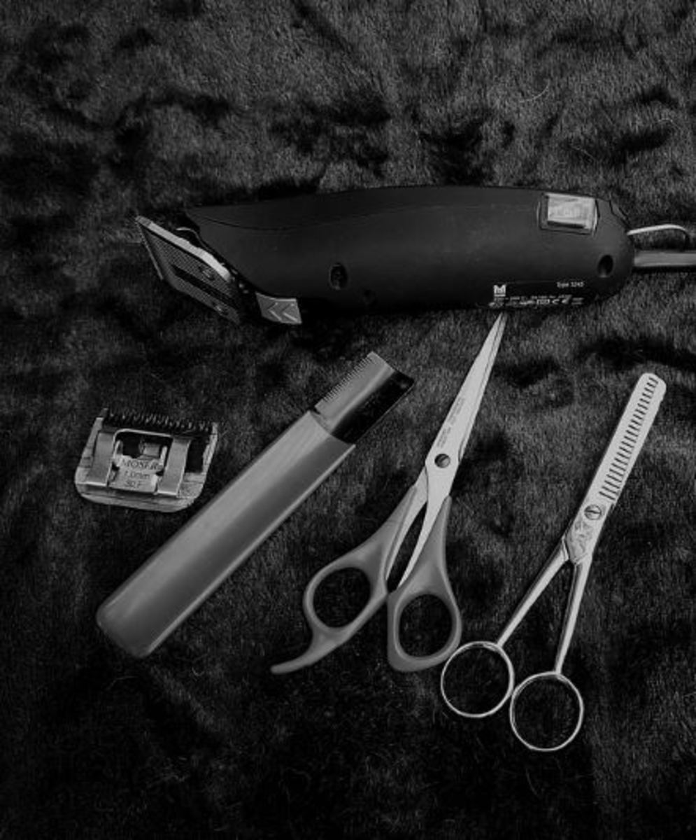 grooming dogs