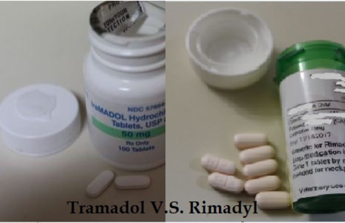 Difference Between Tramadol And Rimadyl For Dogs Dog Discoveries