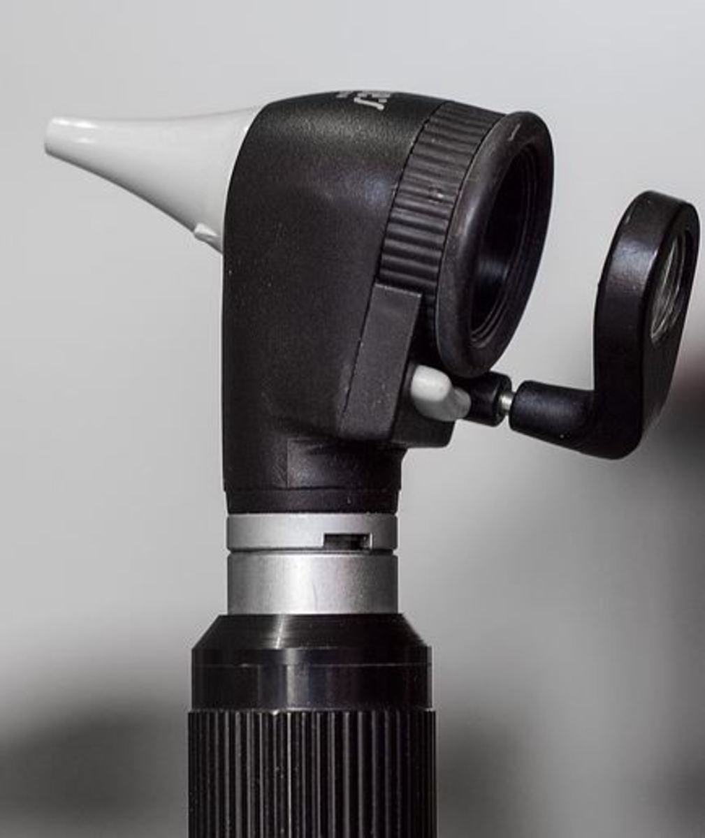  An otoscope can help your vet visualize the eardrum.