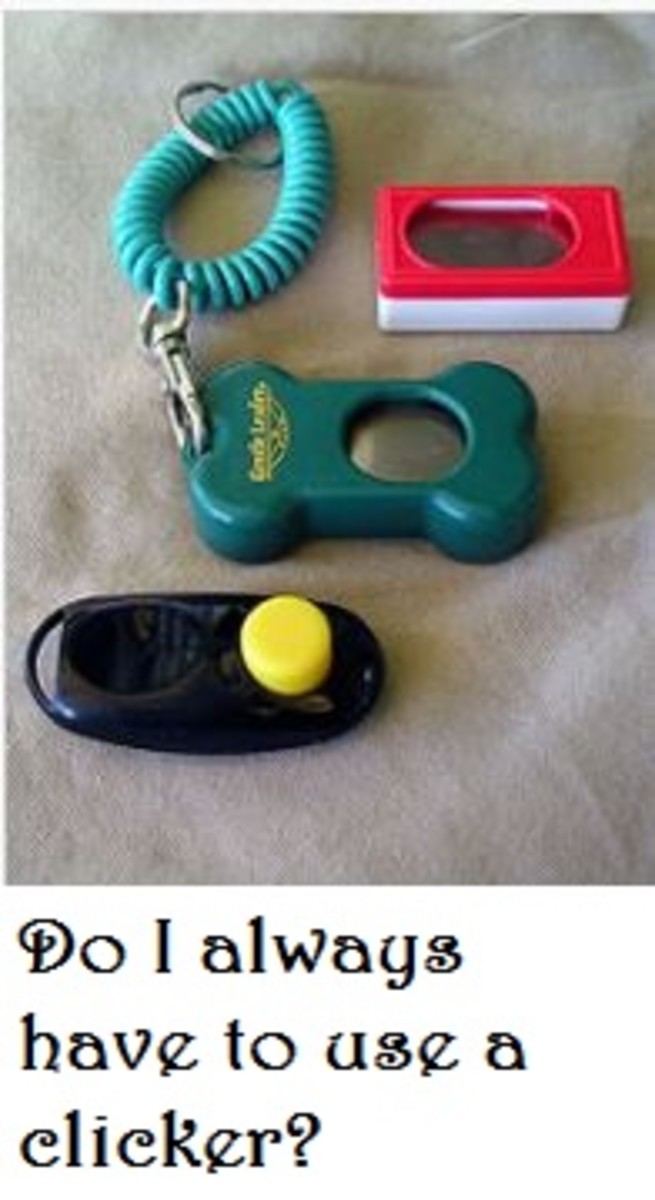 clicker in dog training