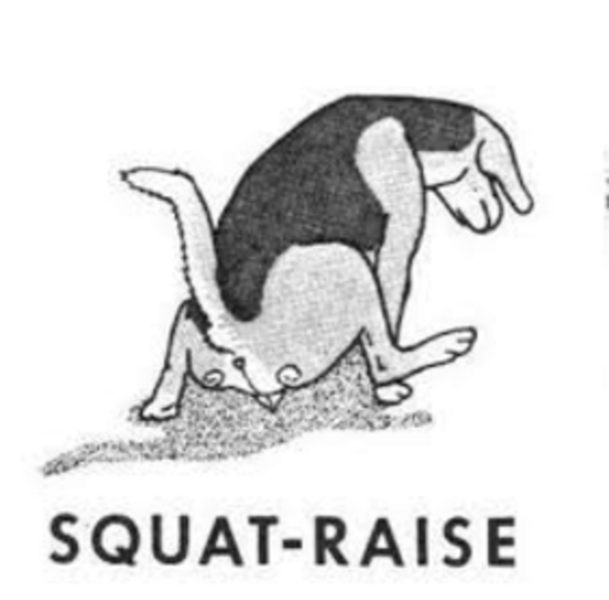 squat raise