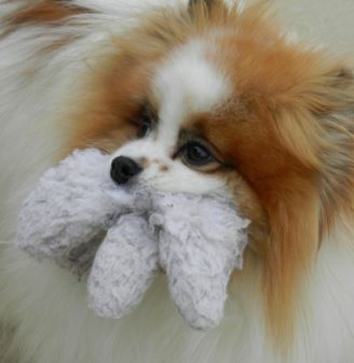 Many dog toys mimic really animals in appearance and even sound!
