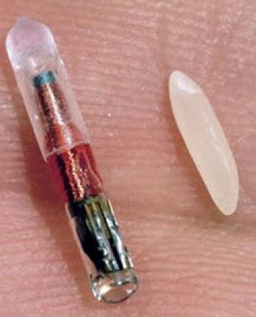 A microchip next to a grain of rice.