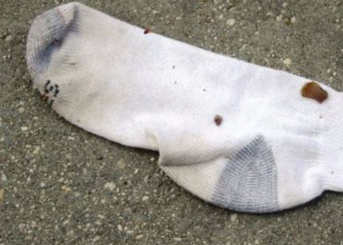dog-sock