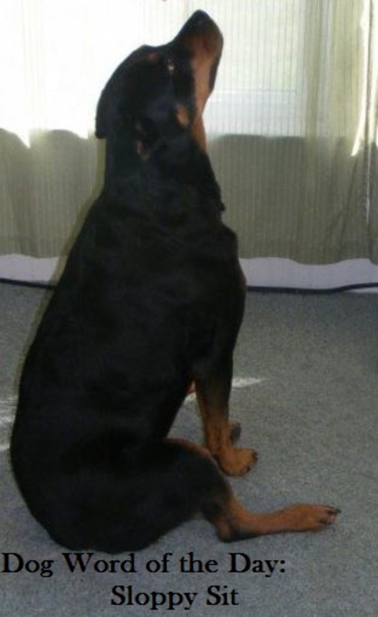 sloppy sit 1