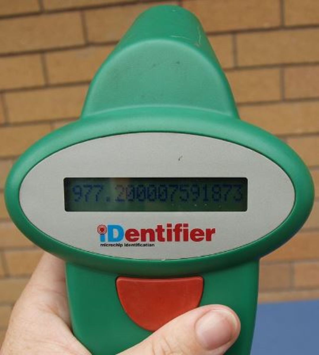 microchip child tracking device