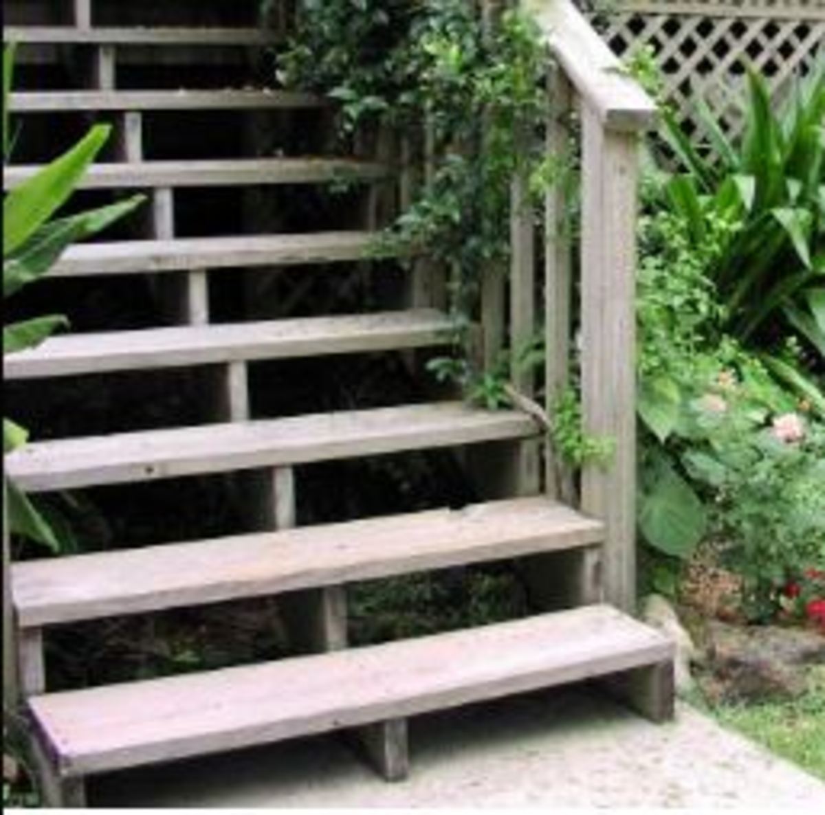 step