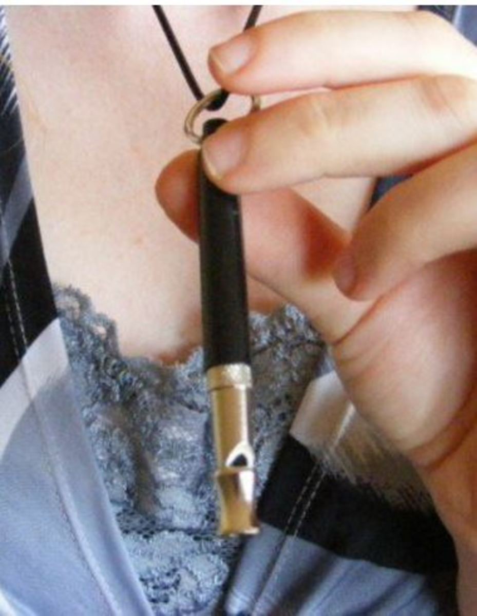 whistle-training-dog